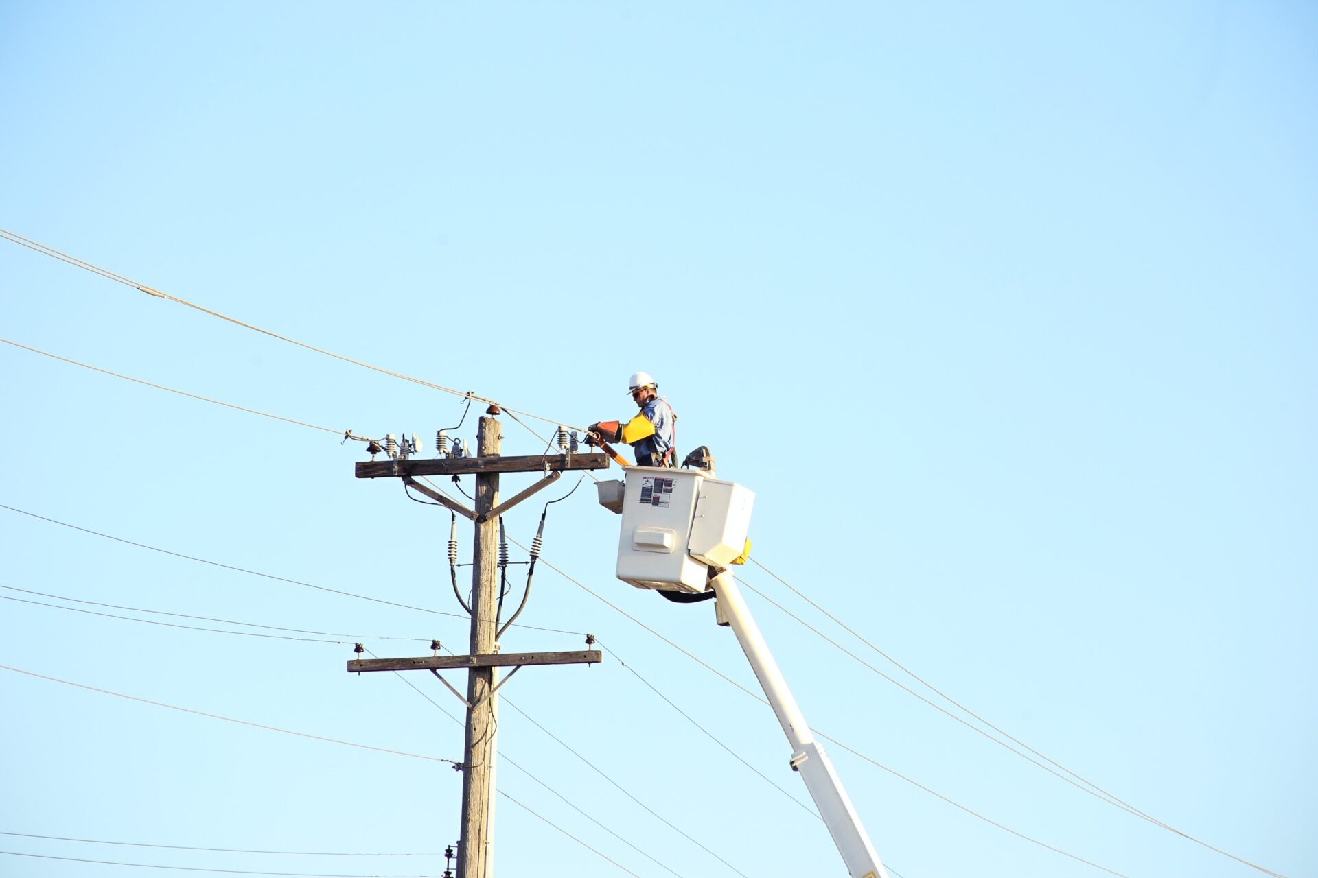 Coastal Pole Maintenance, LTD